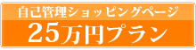 ホームページ25万円プラン